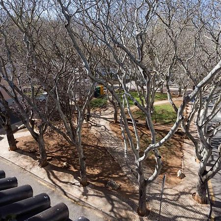 Casa Paraiso Cascais Dış mekan fotoğraf